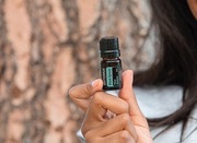 Olejek eteryczny BLACK SPRUCE czarny świerk doTERRA 5ml