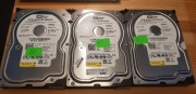 3 dyski WD HDD Caviar SE 80GB SATA identyczne