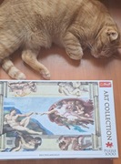 Stworzenie Adama Michał Anioł puzzle 1000 