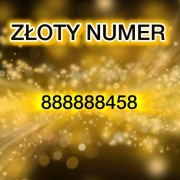 Złoty numer Play 888-888-458 Polecam