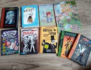 ZESTAW KSIĄŻEK dla dzieci 9 szt różne bardziej dla chłopca