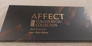 Affect COLOUR BROWN paletka  cieni do BRWI HIT 