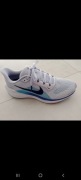 Nike Air Zoom Pegasus 41 Ghost/Blue