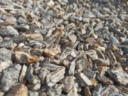 Kora Kamienna Gnejs kamień ozdobny głazy płytka kora gabionowa Oświęcim