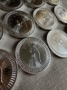 Moneta srebrna Kangur Australijski 2022 1 uncja