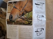 Wędzidło Myler Bits 