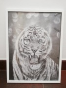 Obraz Tygrysa, wykonany grafitami A3