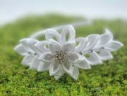 Opaska na biały tydzień 