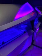 Ergoline evolution 575 