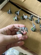Warhammer 40k Tyranid Hormagaunts