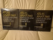 Atlas anatomii topograficznej zwierząt domowych 