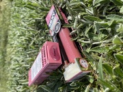 Błyszczyk powiększający usta Sexy Mother Pucker plumsup