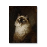 Plakat Majestatyczny Portret Kota Rasy Ragdoll, format 30 x 40cm