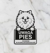 Wyjątkowe tabliczki uwaga zły pies duży wybór Szpic miniaturowy, pomeranian