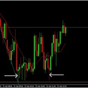 Domena - doge.net.pl