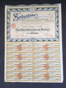 Stara akcja SOBNIOW z 1924 roku-kupony