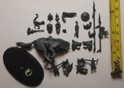 Gloomspite Gitz - Snarlfang Rider - Jeździec na Wargu - Grabieżca!