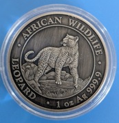 Srebrna moneta Leopard African Wildlife 2022 1 Oz Ag Wersja oksydowana