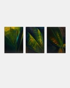 Obraz Tryptyk olej na płótnie 50x70x2cm motyw liści