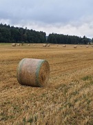 Siano bele ekoNATURA 2025