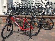 Zasada Maxim MS 3.3 27,5" Rama 21" Czerwony