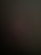 100 losowych petów!! PETS GO