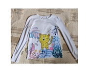 koszulka bluzka t-shirt z kotkiem i ptaszkiem do przedszkola szkoły