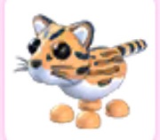 ocelot adopt me Roblox