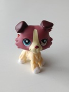 Littlest Pet Shop LPS  