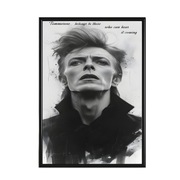 Plakat 30x40cm - David Bowie ,tekst,czarno  białe,