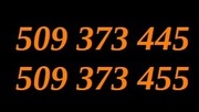 509 373 445 i 509 373 455 Złote 2 Podobne numery