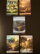 MTG - Komplet Basic Landów (Final Fantasy - Chocobo bundle)