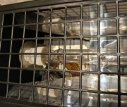 Palnik stroboskopu lampa ksenon 1500W 395mm