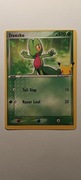 Karta Pokemon Treecko