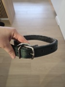 solidna obroza dla duzego psa