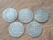 Zestaw Półtoraków. 1622. 1623. 1624. 1625. 1626 
