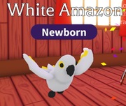 White Amazon! |NAJTANIEJ SZYBKO DUŻO POLECEŃ!|Adopt Me|Roblox