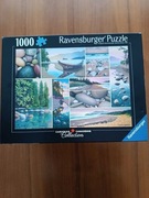 Puzzle Ravensburger 1000