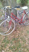 Sprzedam dwa rowery lub jeden, widoczne na zdjęciu. Damka męska i damska 