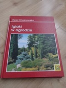 Iglaki w Ogrodzie.