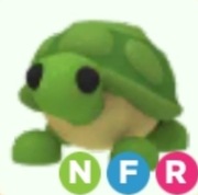 Roblox Adopt Me Turtle NFR Neon