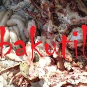 Karma drobiowa/rybna/wieprzowa/wołowa 