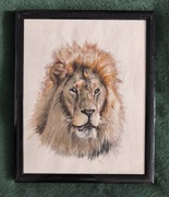 LEW / akwarela na papierze w antyramie - ręcznie wykonany obraz