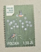 Fi: 4435**. Piotr Kwit - malarz przyrody.