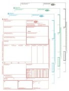 CMR międzynarodowy list przewozowy 