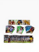 Wielki Zestaw Kart Panini Brazil 2014 + Pudełko Kolekcjonera GRATIS