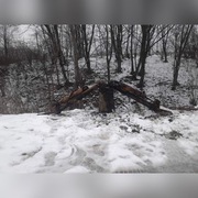 Łapy z ładowarki z siłownikami.