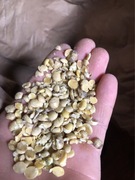 Soja grubo mielona 25 kg 