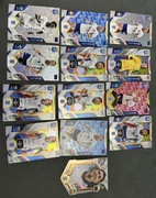 Karty kolekcjonerskie Anglia panini 