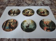 Drewniane podkładki pod kubki 6 sztuk 